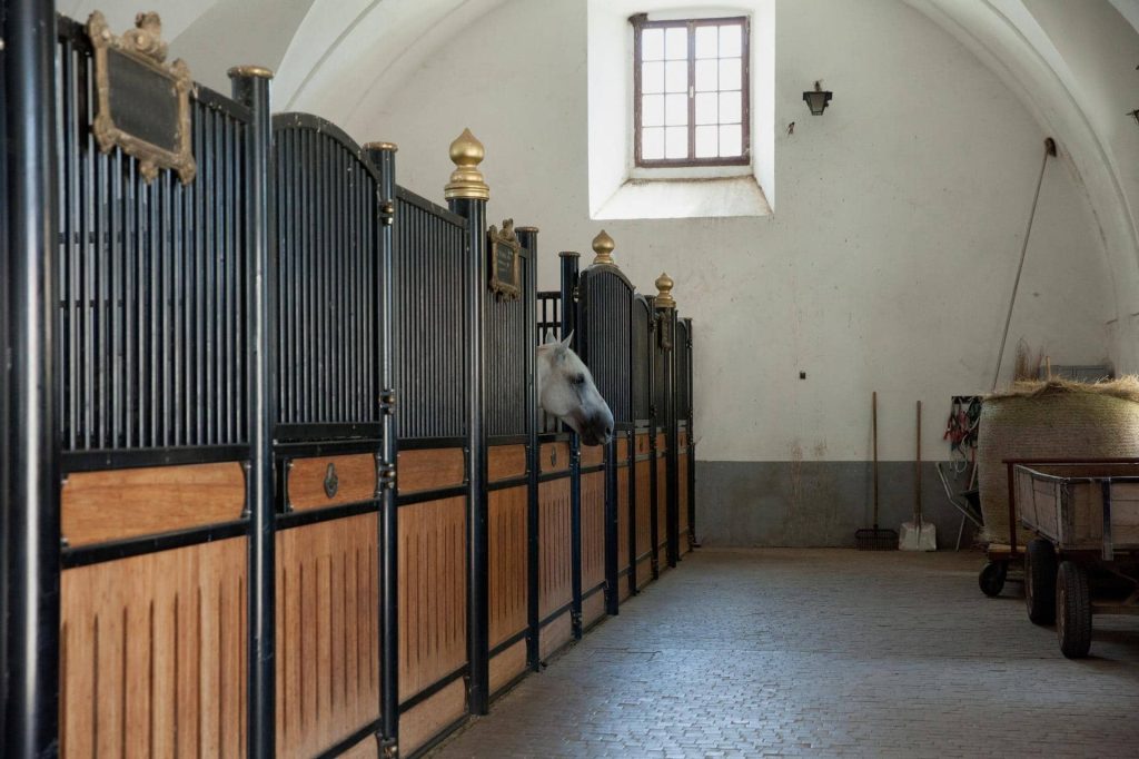Bæredygtig strøelse produceret af dansk halm fra Box Straw